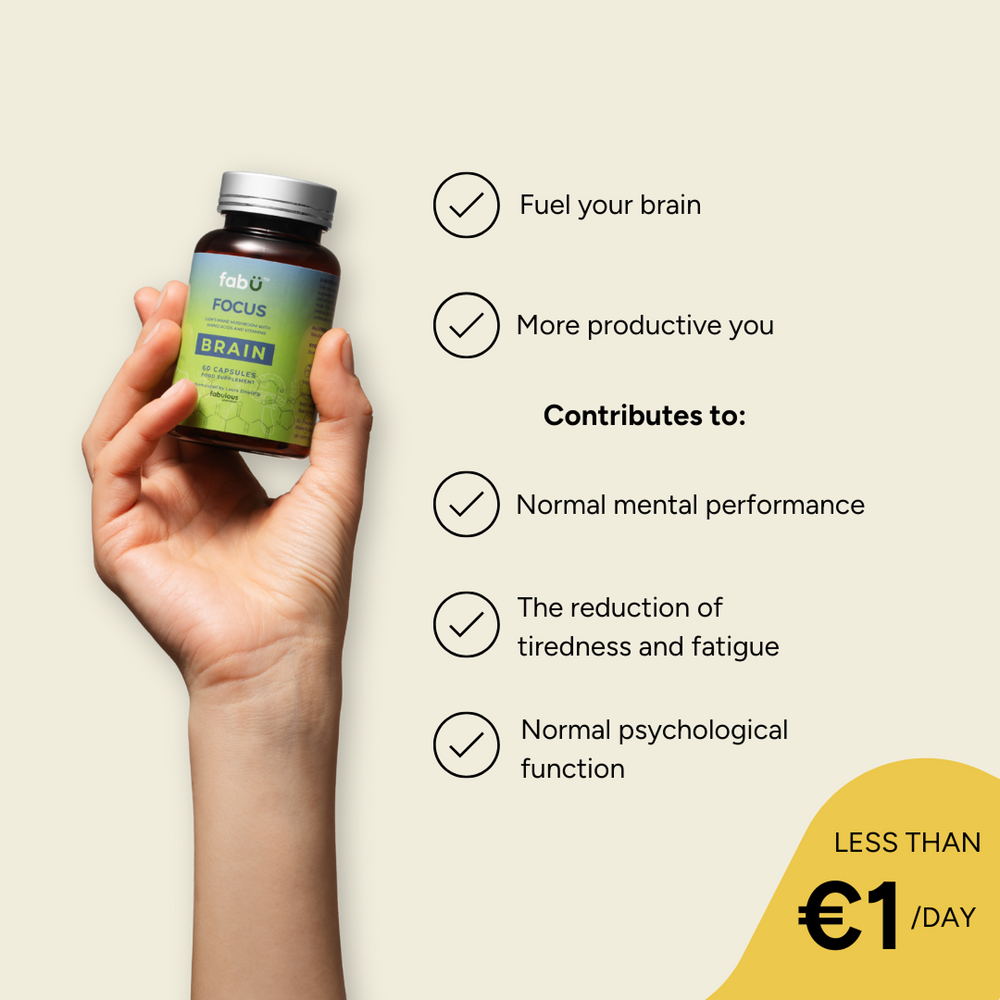 fabÜ FOCUS BRAIN