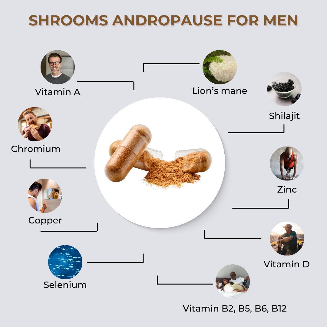 
                  
                    fabÜ SHROOMS ANDROPAUSE FOR MEN
                  
                