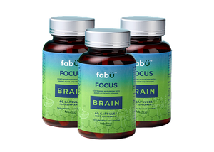 fabÜ FOCUS BRAIN