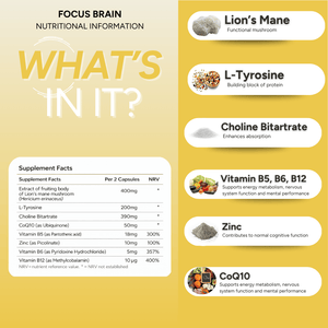 fabÜ FOCUS BRAIN