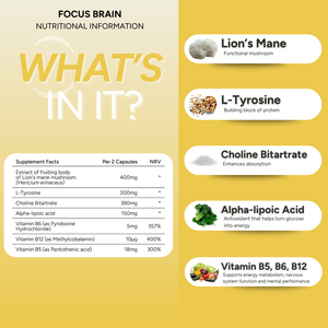 fabÜ FOCUS BRAIN