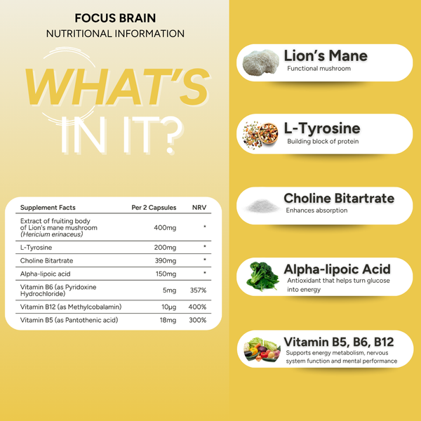 fabÜ FOCUS BRAIN