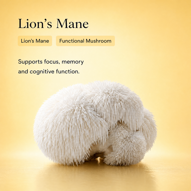 Lion's Mane mushroom · 800mg