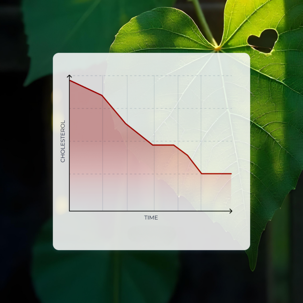 Plant Sterols