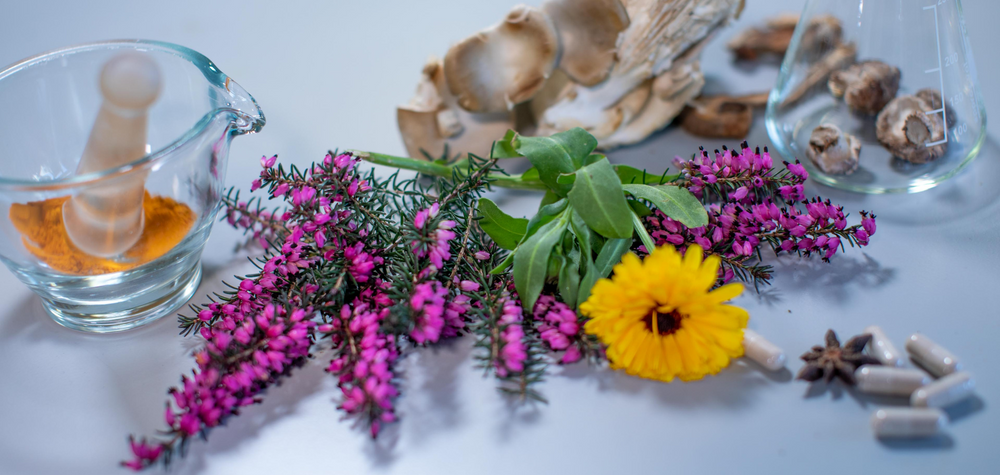Glass pestle and mortar with orange powder, purple heather, a beautiful yellow dandelion , dried and fresh mushrooms in a conical flask, star anise and some capsules