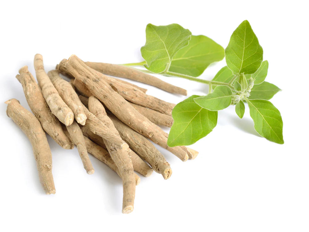 Ashwagandha