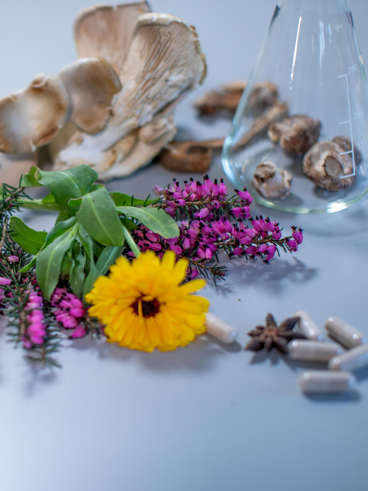 Purple heather, a beautiful yellow dandelion , dried and fresh mushrooms in a conical flask, star anise and some capsules