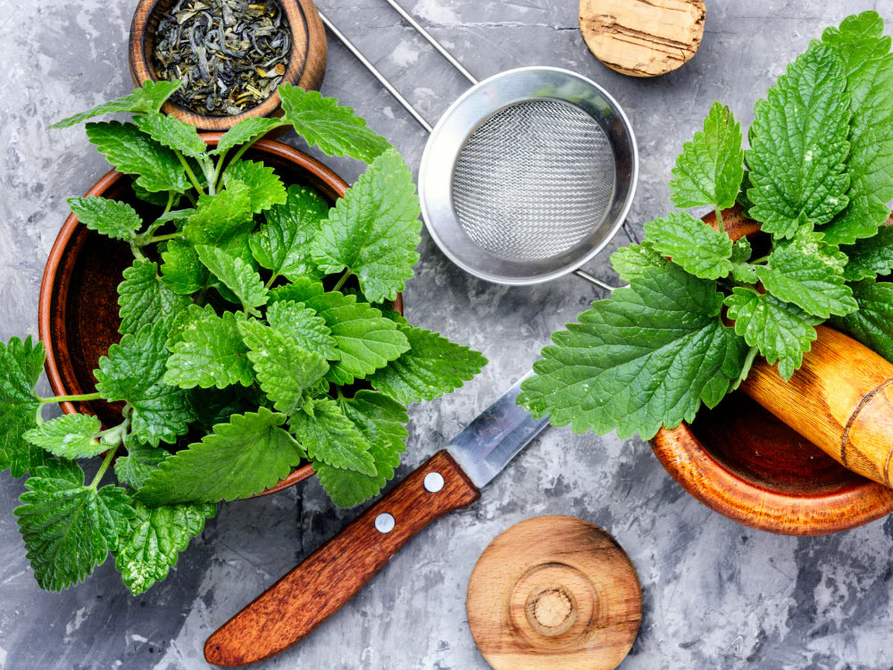 Lemon balm extract