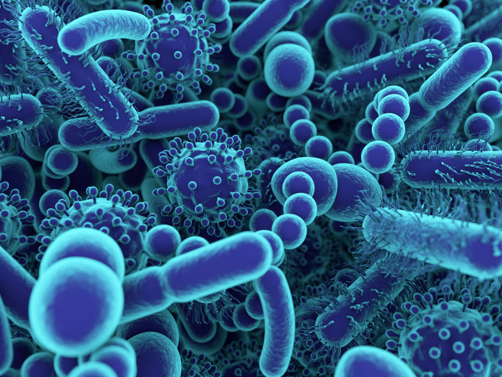 Multi-Strain Live Cultures